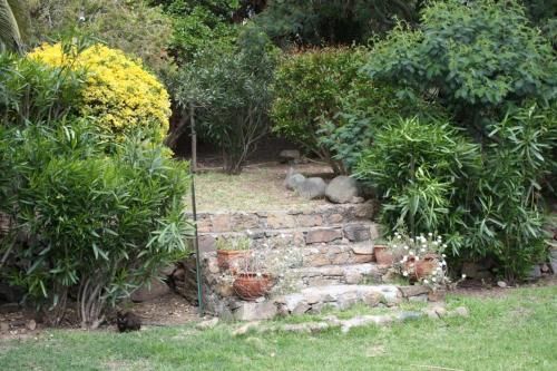 Outdoor Pictures 9