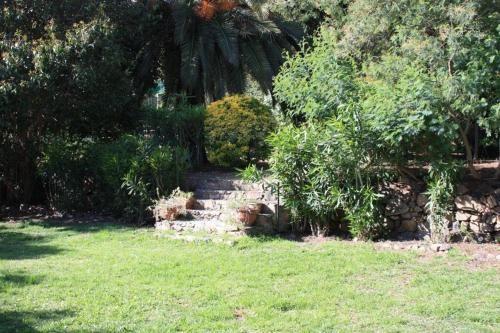 Outdoor Pictures 12