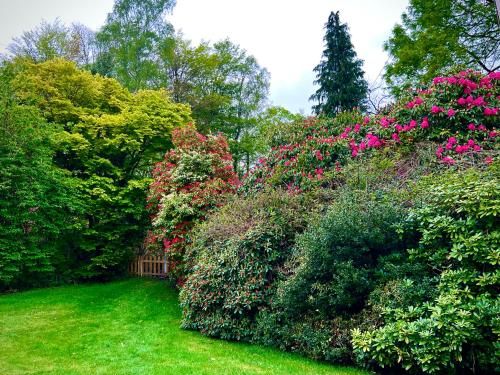 Outdoor Pictures 17