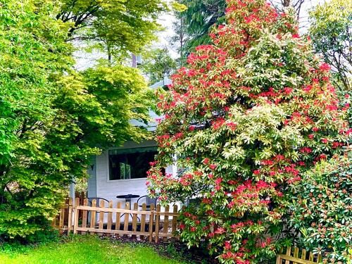 Outdoor Pictures 18