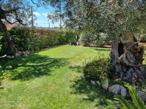 Outdoor Pictures 9
