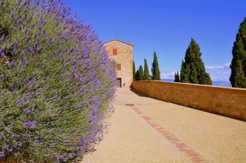 Outdoor Pictures 24