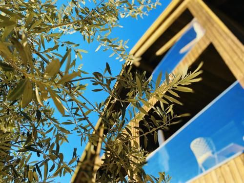 Outdoor Pictures 7