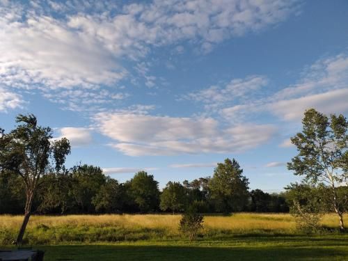 Outdoor Pictures 7