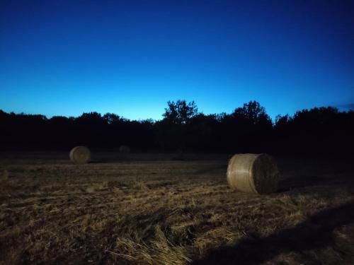 Outdoor Pictures 12