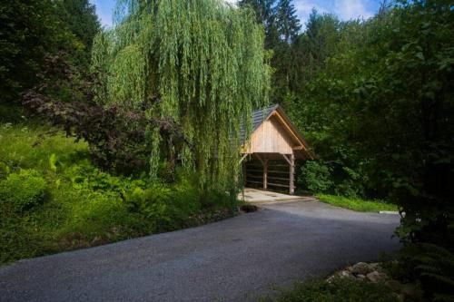 Outdoor Pictures 21