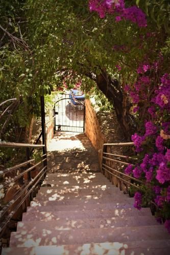 Outdoor Pictures 9
