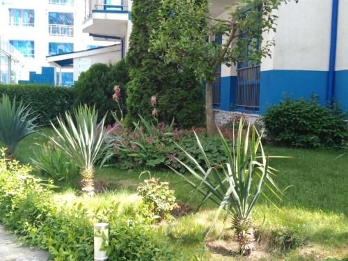 Outdoor Pictures 9