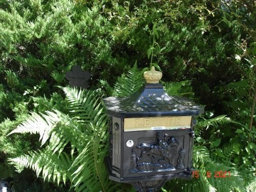 Outdoor Pictures 7