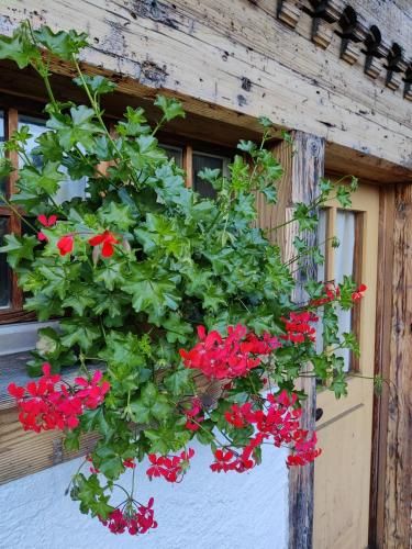 Outdoor Pictures 22