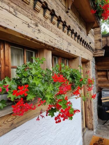 Outdoor Pictures 23