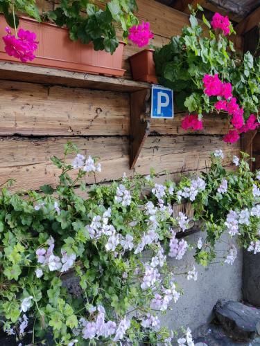 Outdoor Pictures 24