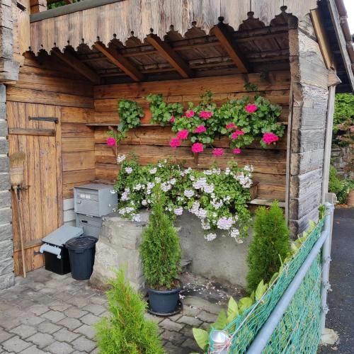 Outdoor Pictures 3
