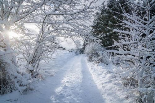 Outdoor Pictures 20