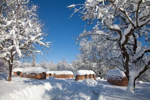 Outdoor Pictures 9