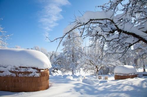 Outdoor Pictures 14