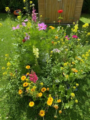 Outdoor Pictures 21
