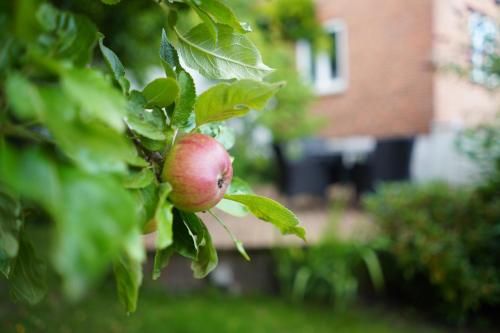 Outdoor Pictures 22