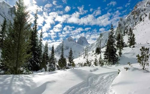 Outdoor Pictures 15