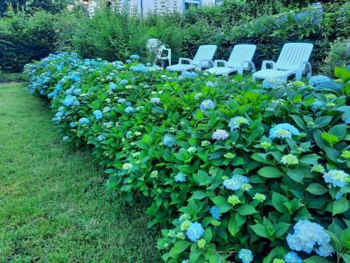 Outdoor Pictures 11
