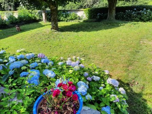 Outdoor Pictures 24