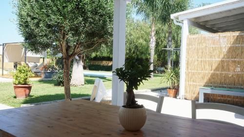 Outdoor Pictures 11