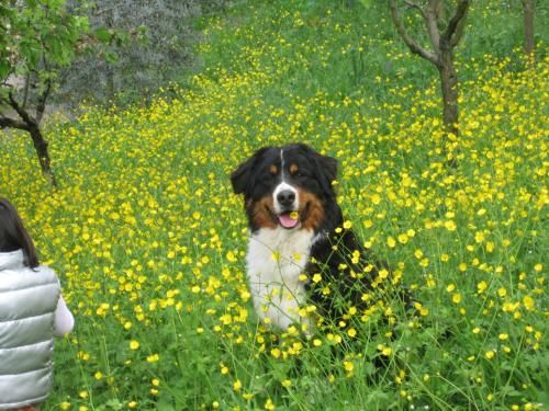 Outdoor Pictures 9