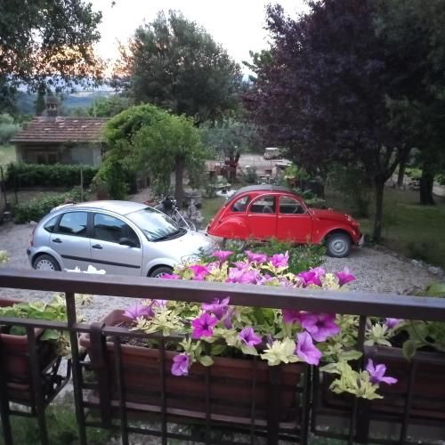 Outdoor Pictures 9