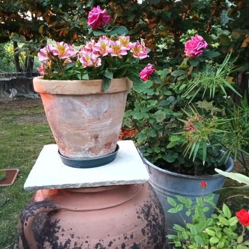 Outdoor Pictures 11