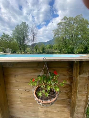 Outdoor Pictures 7