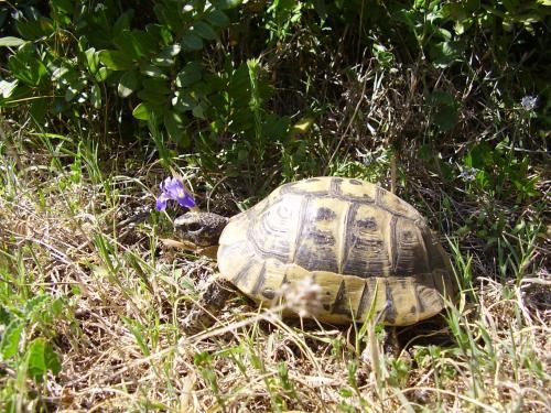 Outdoor Pictures 8