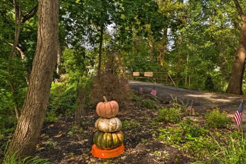 Outdoor Pictures 23