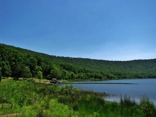 Outdoor Pictures 4