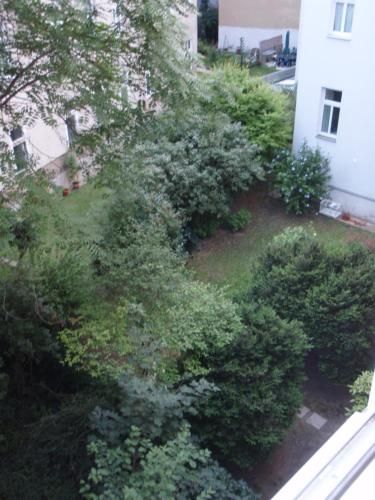 Outdoor Pictures 7