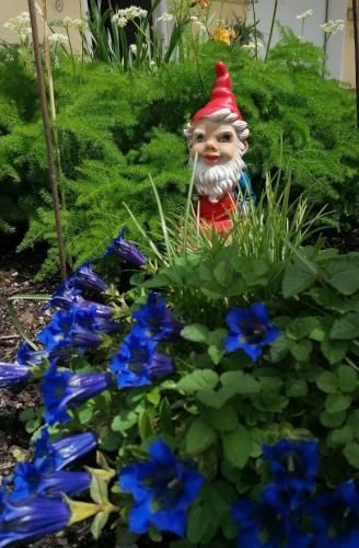 Outdoor Pictures 16