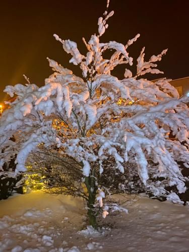 Outdoor Pictures 15