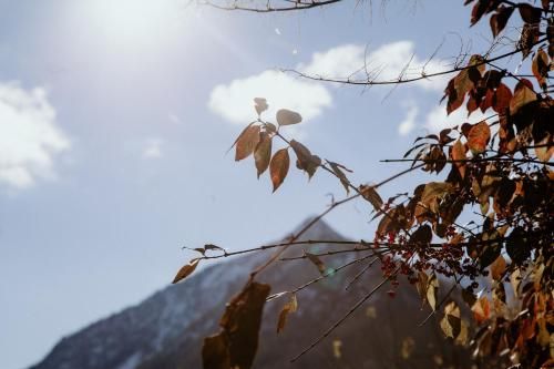 Outdoor Pictures 20