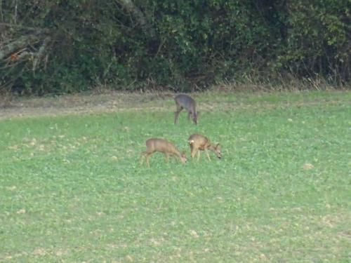 Outdoor Pictures 15