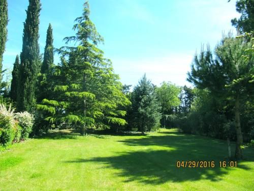 Outdoor Pictures 3