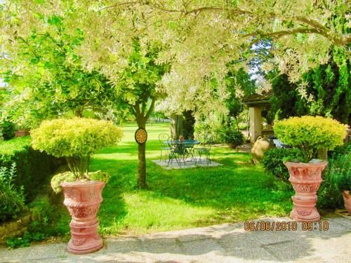 Outdoor Pictures 17