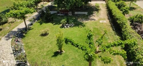 Outdoor Pictures 7