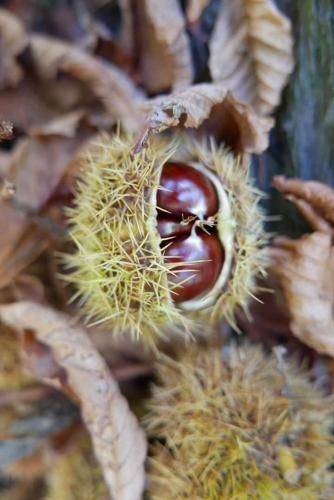 Outdoor Pictures 14