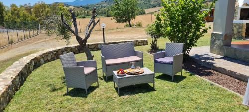 Outdoor Pictures 7