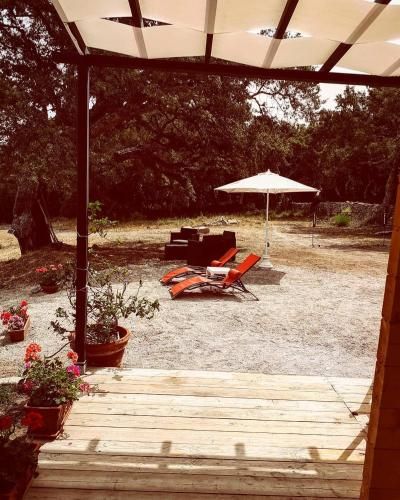 Outdoor Pictures 15