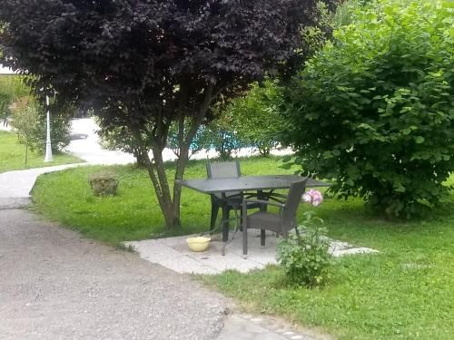 Outdoor Pictures 9