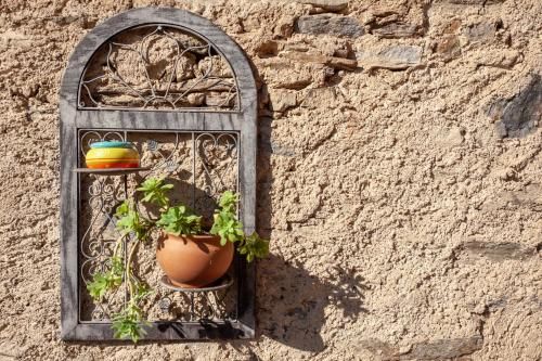 Outdoor Pictures 5