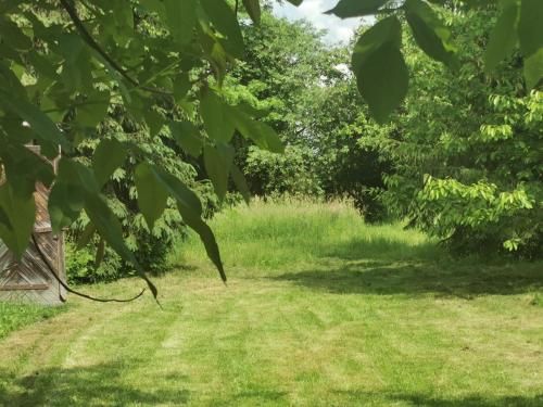 Outdoor Pictures 9