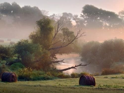 Outdoor Pictures 21