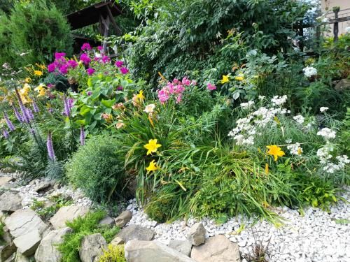 Outdoor Pictures 24