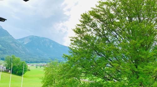 Outdoor Pictures 23